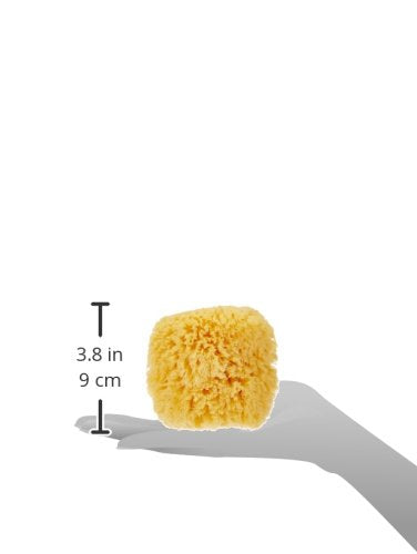 Spa Sisters Natural Sea Sponge, 1 EA