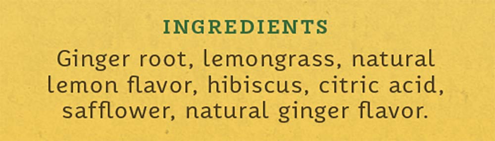 Stash Tea Lemon Ginger Vitality Herbal Tea - Naturally Caffeine Free, Non-GMO Project Verified Premium Tea with No Artificial Ingredients, 20 Count (Pack of 6) - 120 Bags Total