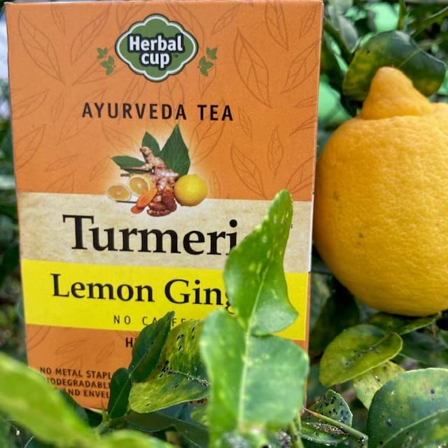 Herbal Cup Ayurveda Turmeric Tea, Organic Lemon Ginger, No Caffeine Herbal Teas (Organic Lemon Ginger, 16 Count (Pack of 6))
