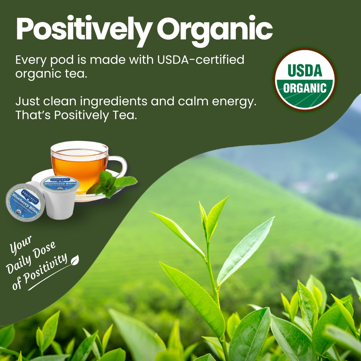 Positively Tea, Organic Caffeine-Free Tea Pod Discovery Pack, 96 Pods