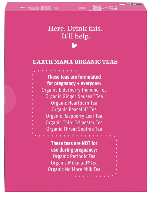 Earth Mama - Organic Raspberry Leaf Tea - 48 Teabags