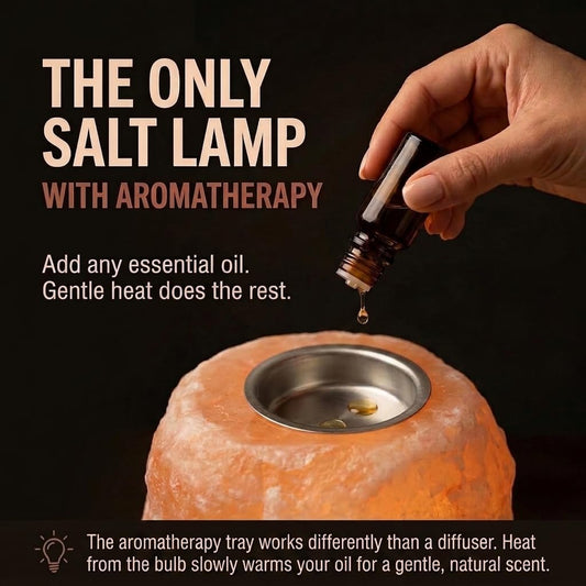 GAYA Himalayan Pink Salt Lamp Diffuser, Aromatherapy Tray, Dimmer Switch