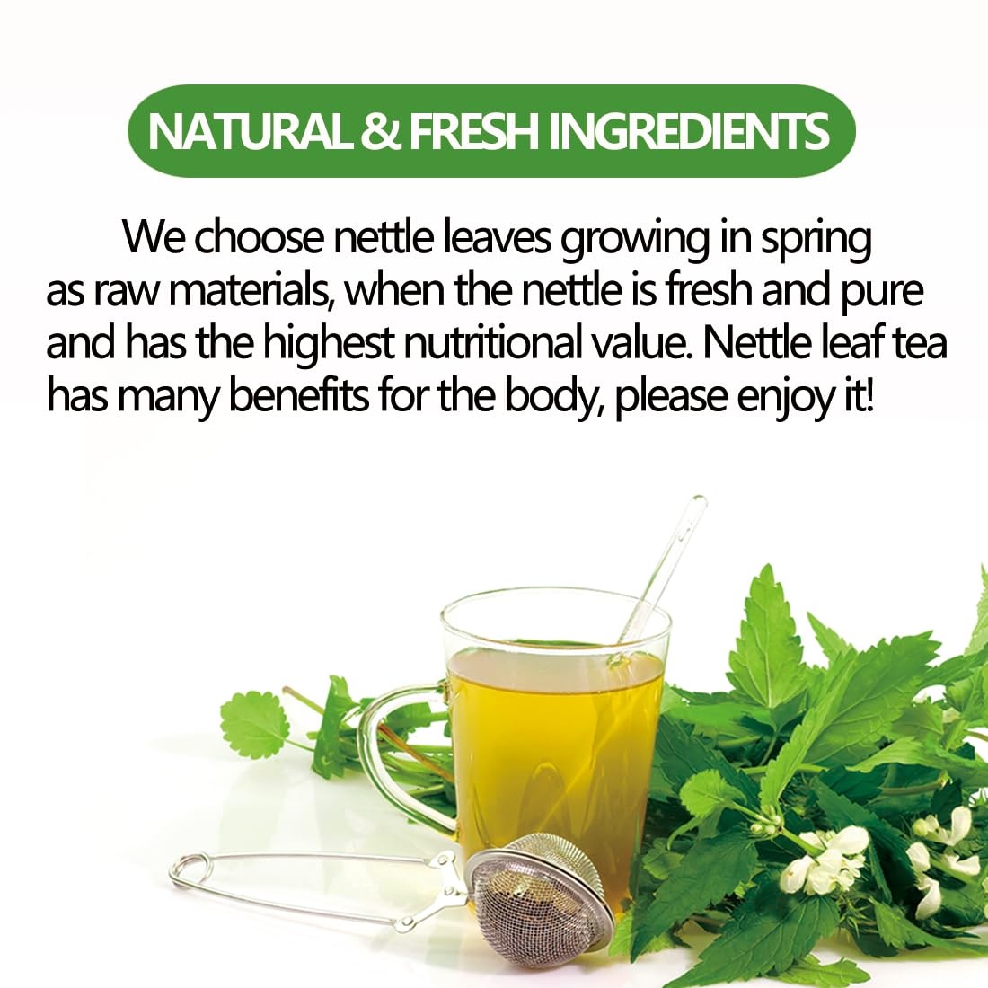 Premium 100 Stinging Nettle Leaf Tea Bags, Made with 100% Wild Nettle Leaves,No Additive & Caffeine Free.