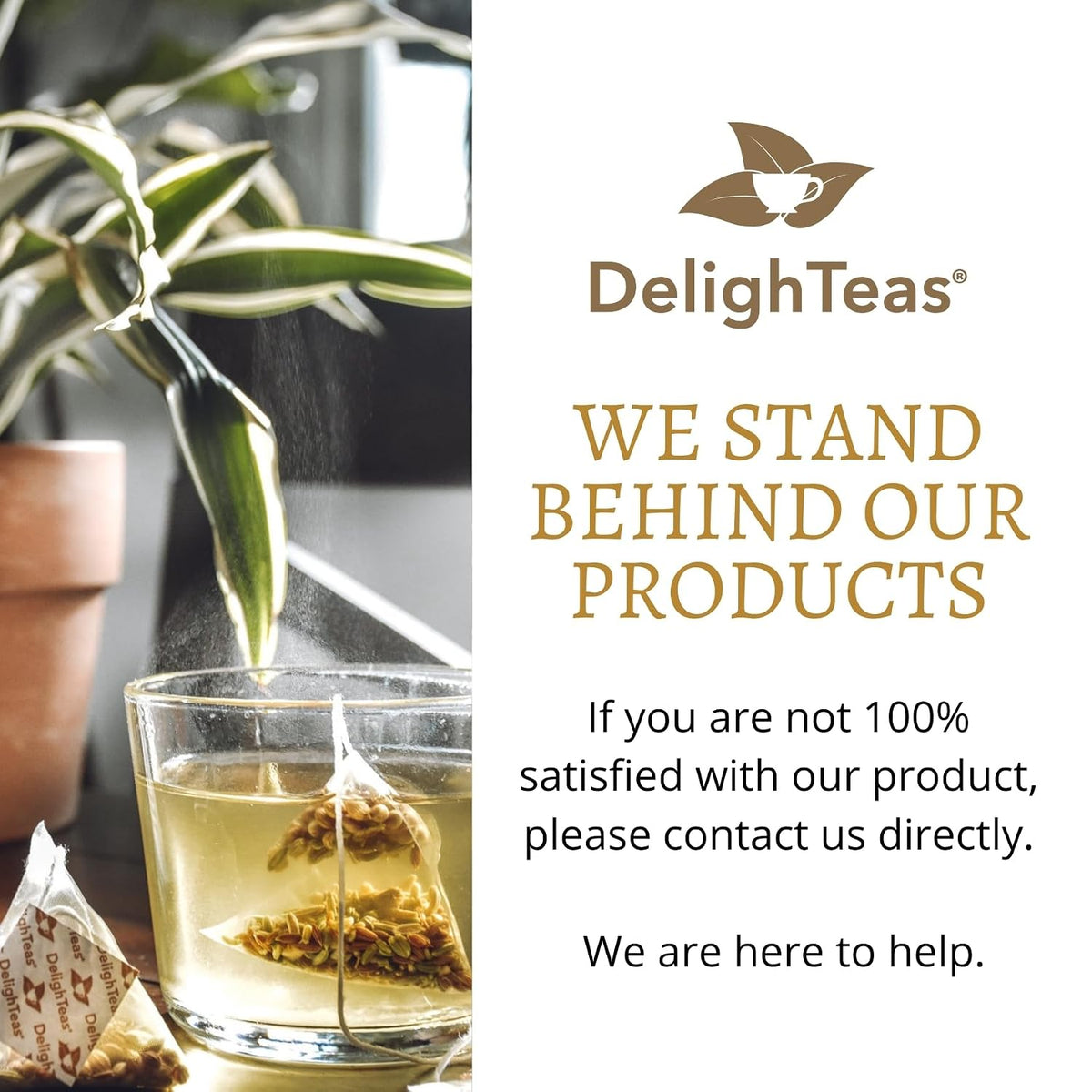 DelighTeas Organic Digest & Detox CCF Tea with Ginger | Eco-Conscious Pyramid Tea Bags | Ayurvedic Cumin Coriander Fennel Ginger Tea | USDA Organic, Vegan, Caffeine Free, Kosher | 30 Tea Bags, 4g each