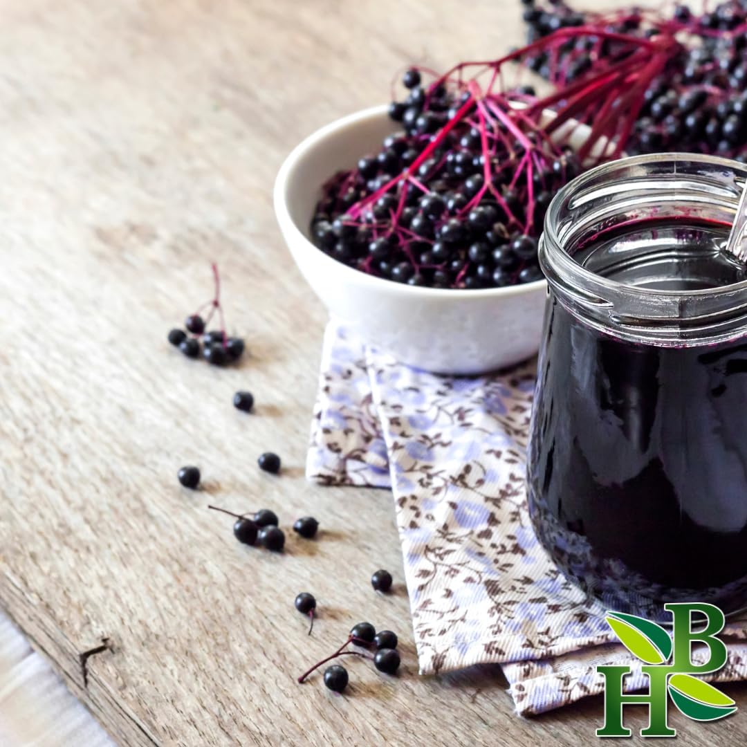 Herb To Body Elderberry Powder - Sambucus Nigra, Dried Elderberry Fruit Powder, Finely Ground for Elderberry Juice, Tea, Beverages, Smoothies & Culinary Use - Resealable Pouch (4 oz)