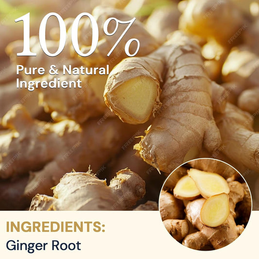 Ginger Root Herbal Tea - Caffeine Free, 50 Tea Bags
