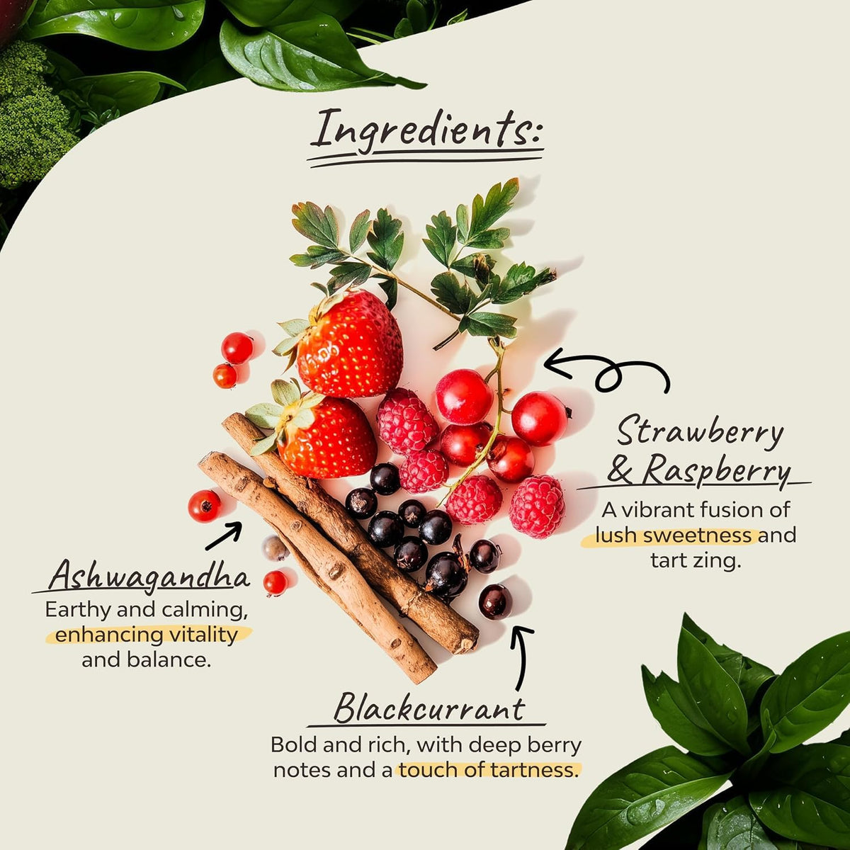 Organsia Herbal Tea-Very Berry with Ashwagandha Flavor
