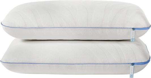 Sealy Dreamlife Queen Size Memory Foam Cooling Pillow with Surface Guard Technology, Removable Machine-Washable Cover, 1 Year Limited Warranty, White (2 Pack)