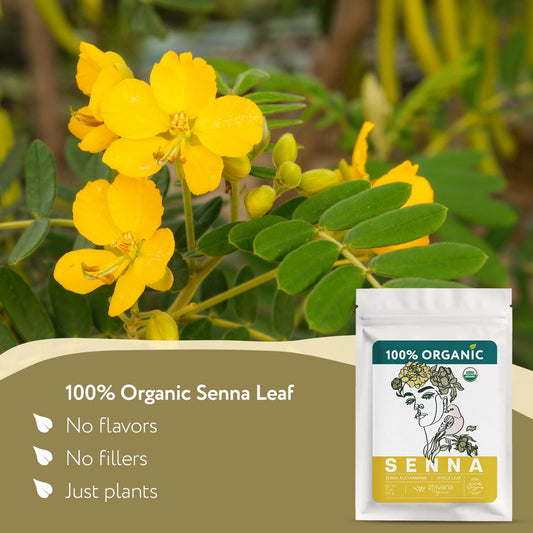 Organic Lemon Balm Leaves (4oz.) - Lemon Balm Tea Loose Leaf Organic - Melissa Tea - Te de Tolonjil - Natural Support for Stress Response, Sleep, Digestion