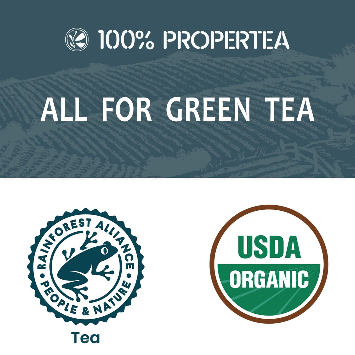100% Propertea Organic Green Tea Bags Classic, 100 Tea Bags, Smooth