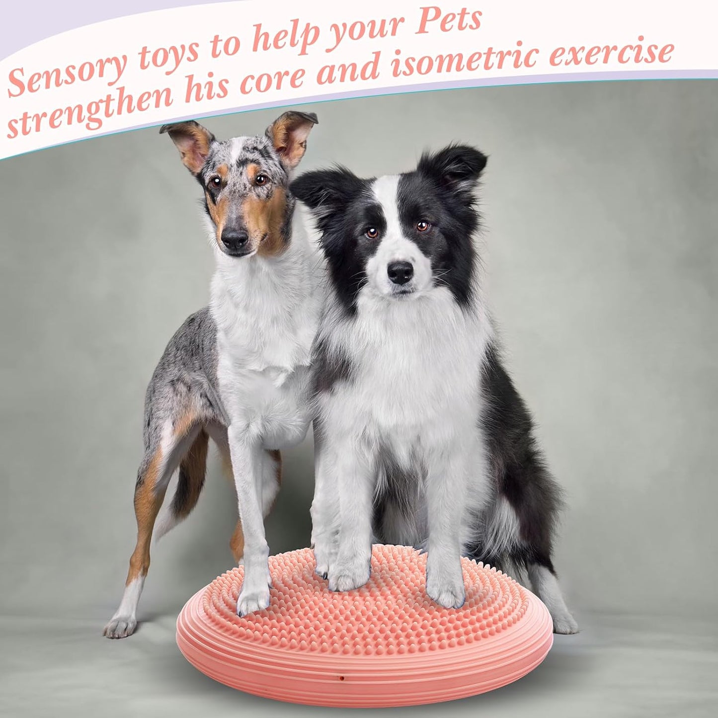 Libima 2 Pcs Wobble Cushion Wiggle Seat Flexible Sensory Seating Balance Disc Board for Men Women Physical Exercise Improving Posture Home Office