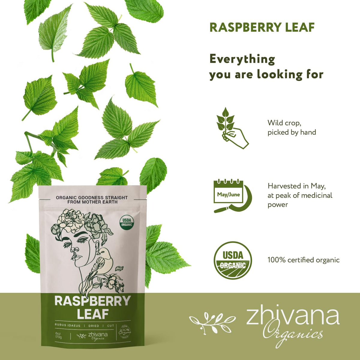 Organic Red Raspberry Leaf Tea – Pregnancy, Healthy Cycle, PMS – 6oz