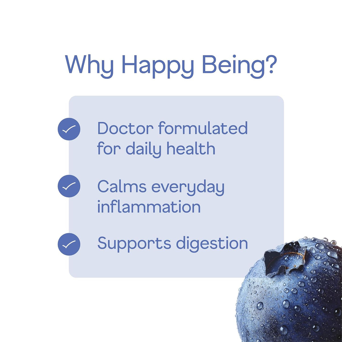 Happy Being Blueberry White Tea, Antioxidant, Low Sugar, 12oz 4 Pack
