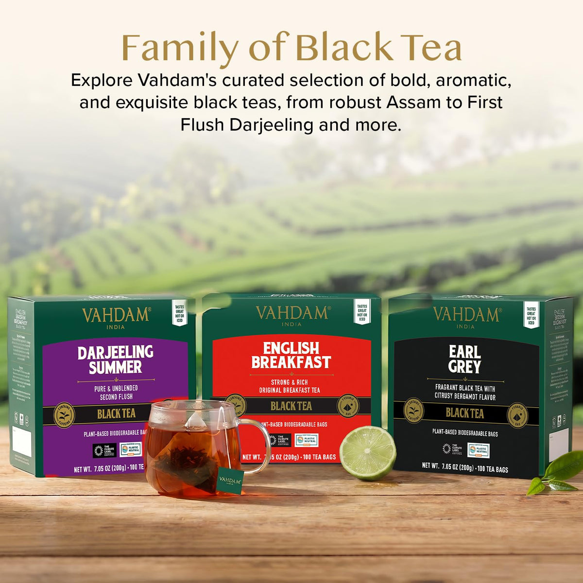 VAHDAM English Breakfast Tea Bags (100 Count) Black Tea in Pyramid Tea Bags