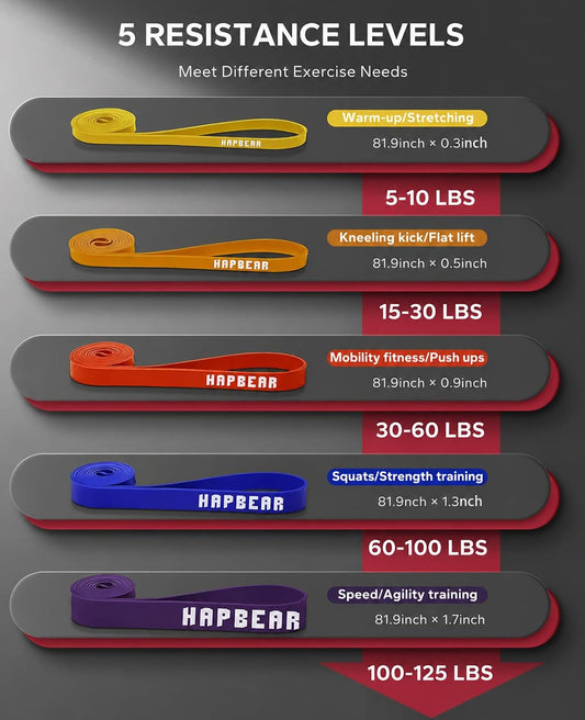 HAPBEAR Pull Up Assistance Bands - Pull Up Bands - Resistance Bands - Exercise Bands Resistance Bands Set of 5 - Workout Bands for Working Out, Stretching, Muscle Training