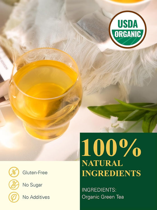 GLDNT Organic Green Tea Bags, Natural Organic Green Tea, Caffeinated, 100ct