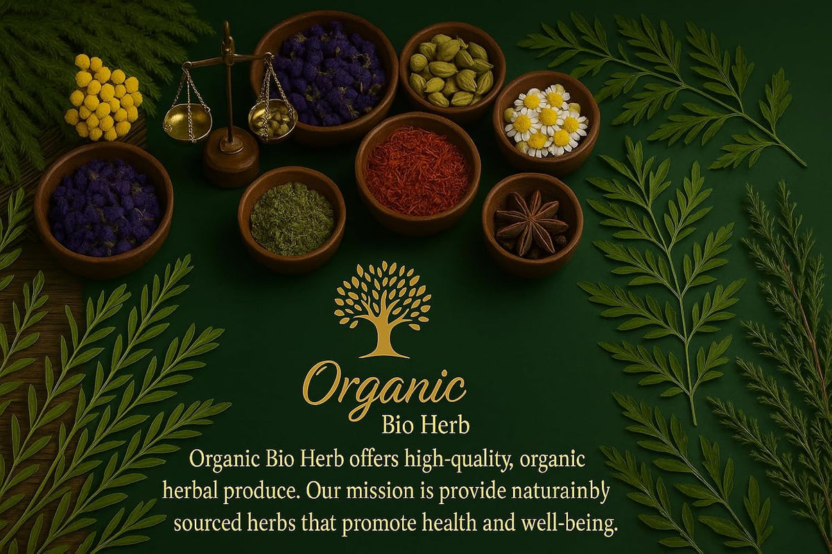 Organic Bio Herbs-Dried Elderberry Flowers – 100% Natural, Premium Quality Herb for Herbal Tea, Tinctures & Remedies – No Additives, Non-GMO (Sambucus Nigra) 2 Oz.