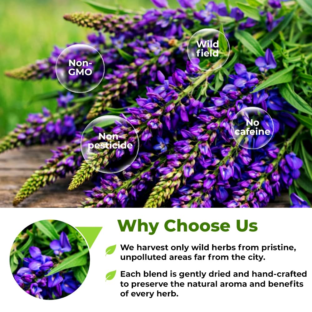 20 Bags Goat's Rue Tea Goats Rue Herb (Galega Officinalis L.) - 20 Count 1.5g Tea Bags French Lilac Ruda De Cabra