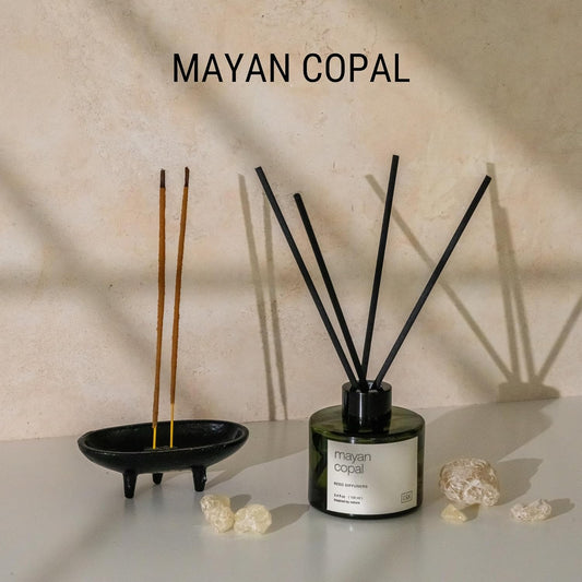 Craft & Kin Premium Santal Woods Reed Diffuser with Dried Flowers – 5 oz Essential Oil Diffuser for Home & Bathroom – Long-Lasting Fragrance Diffuser Sticks – Room Decor Air Freshener