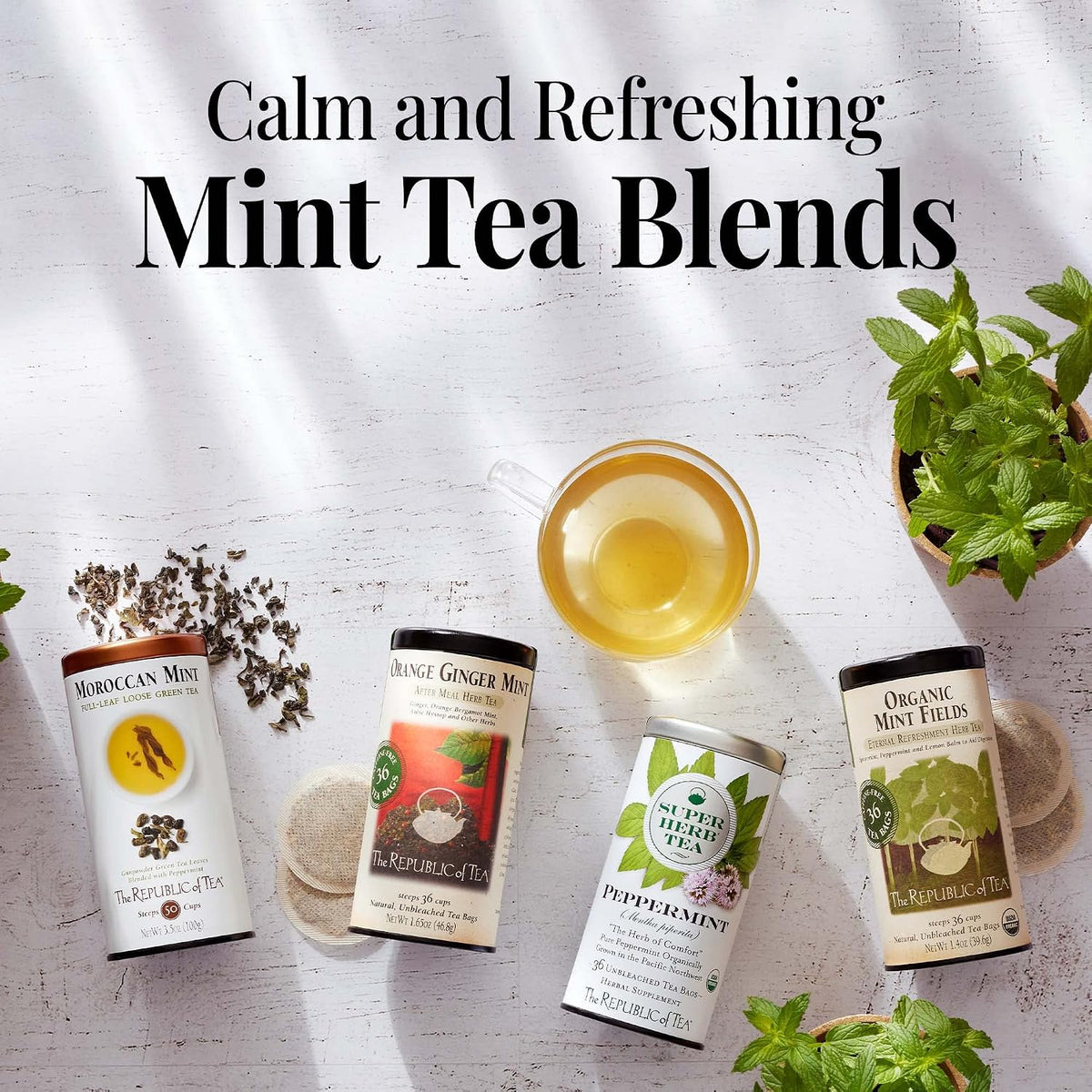 The Republic of Tea Orange Ginger Mint Herbal Tea, Caffeine Free, 36 Count