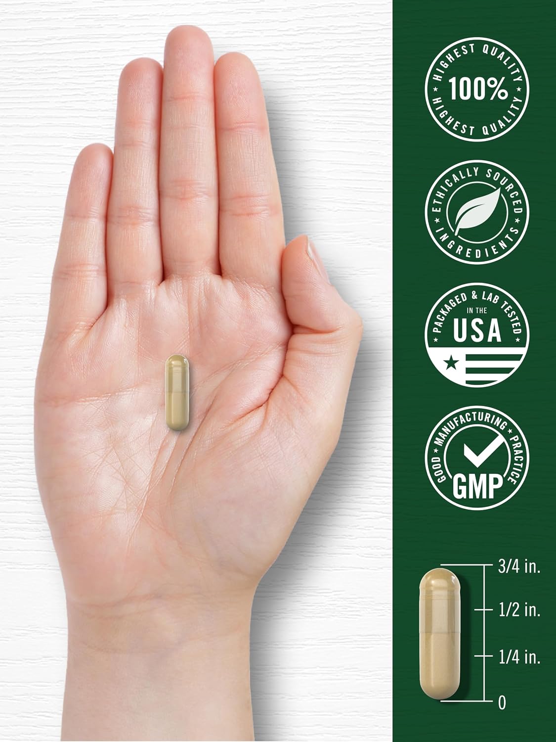 Carlyle Stinging Nettle Leaf Extract Supplement | 300 Capsules