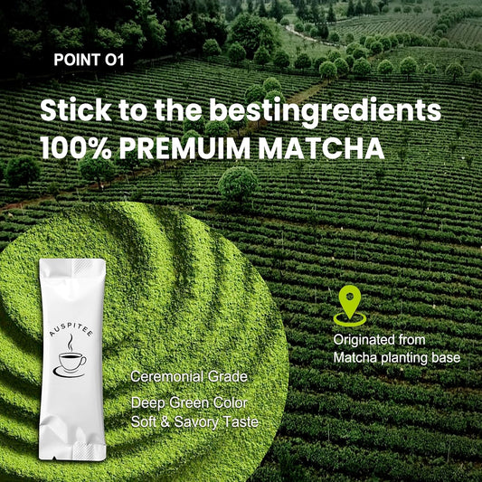 Matcha Latte Green Tea Powder Single Pack, Premium Barista Science Blend - Individual Matcha Bags (20)
