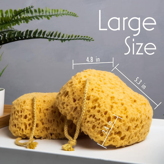myHomeBody Bath Sponge, Foam Loofah, Body Scrubber for Bathing, Exfoliating Shower Pouf for Shower – Large Size, Lots of Lather, Curvy, 3 Pack