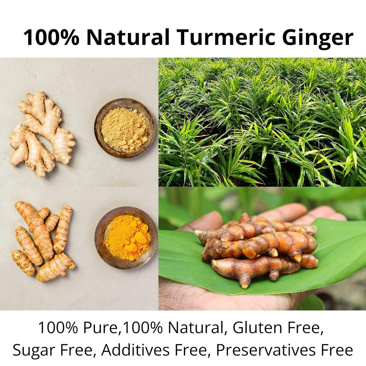 50 Ginger Turmeric Tea Bags – Premium Herbal Turmeric and Ginger Tea, Caffeine-Free