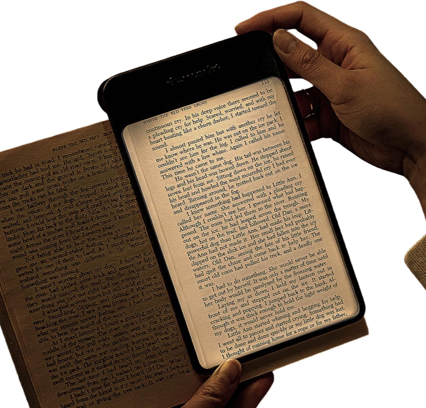 Book Light, LED Reading Light, USB Rechargeable, Warm & Cool Tone, Portable Cordless Lamp for Bedtime Reading (Warm LED)