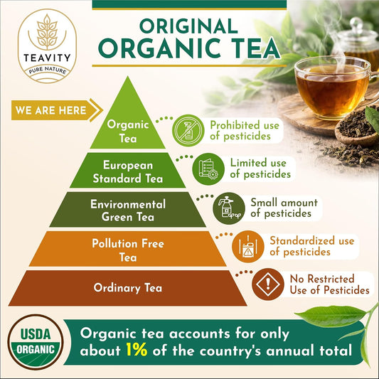 Organic Ginger Tea Pod with Echinacea, Turmeric, and Licorice for Keurig, Decaf by Teavity (12 Tea Pods)
