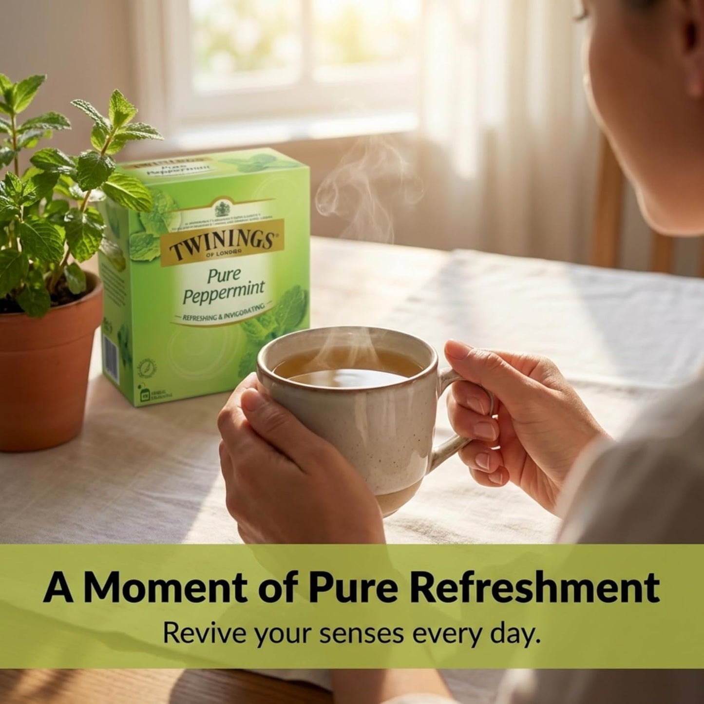 Twinings Pure Peppermint Tea Bags 80 pack