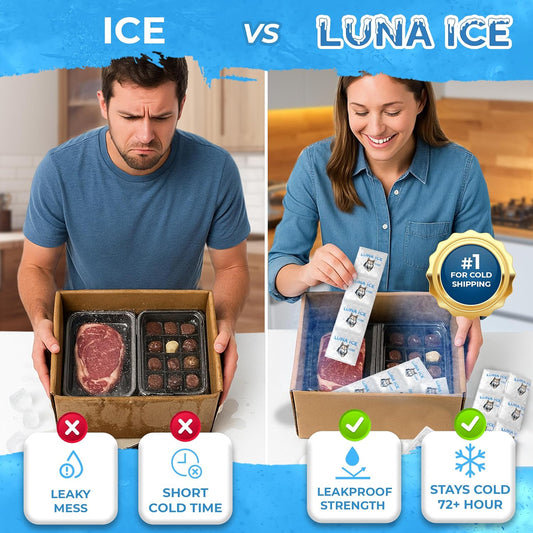 Dry Ice Packs for Shipping - Long Lasting ice Packs - 24+ Hour Freeze Power - BPA Free - 12 Pack Bulk 3 lb – Hielo Seco - Reusable Gel Bricks for Food