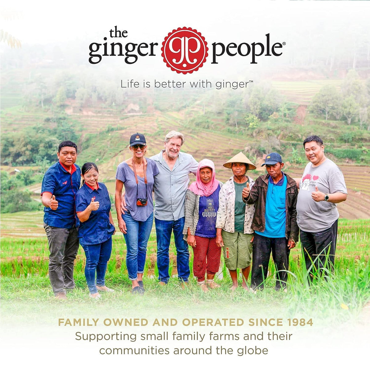 Organic Ginger Juice by The Ginger People – 99% Pure, No Sugar or Water Added, Non-GMO, Vegan, 32 fl oz Bottle (Pack of 1)