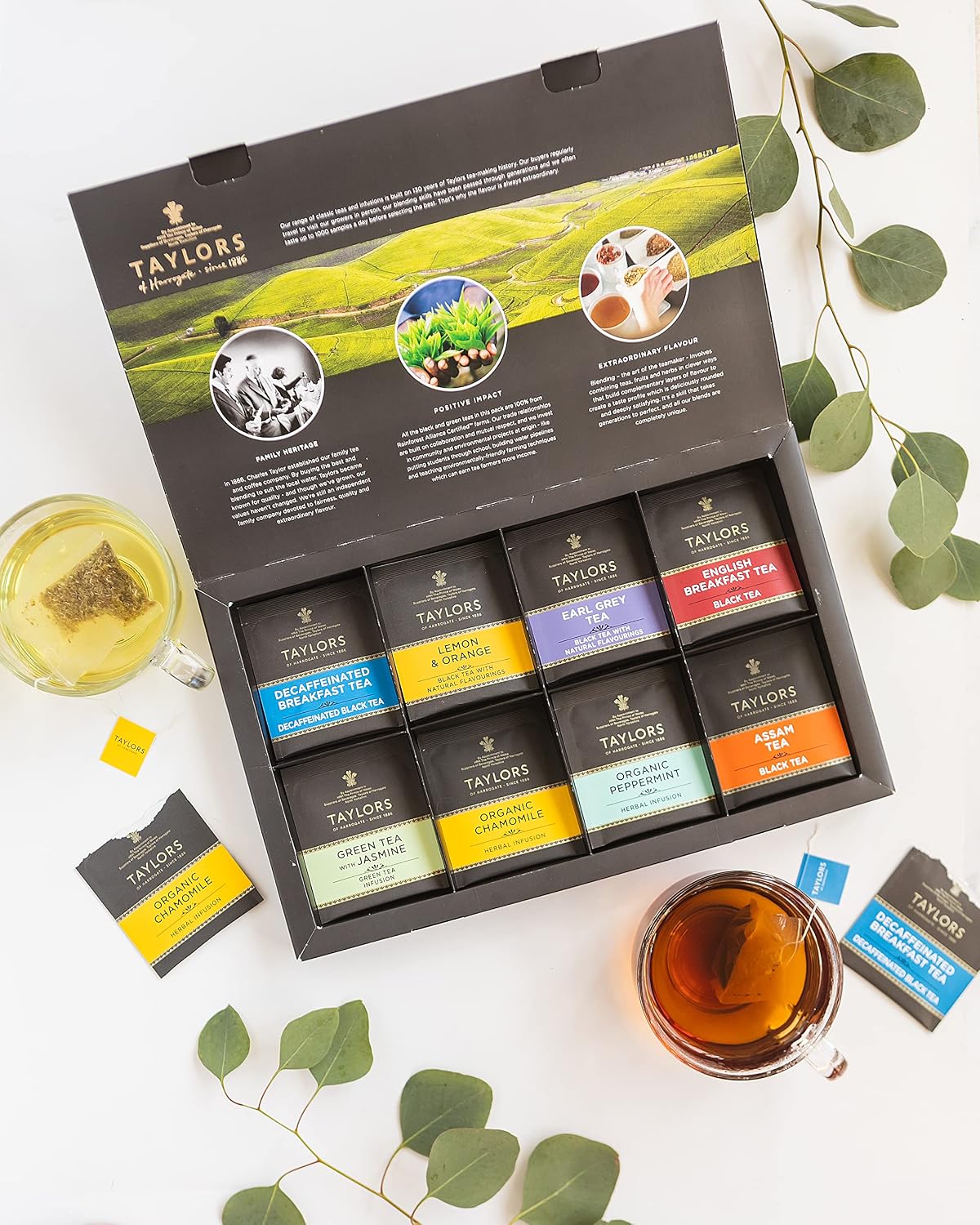 Taylors of Harrogate Assorted Tea Sampler Gift Box, 48ct