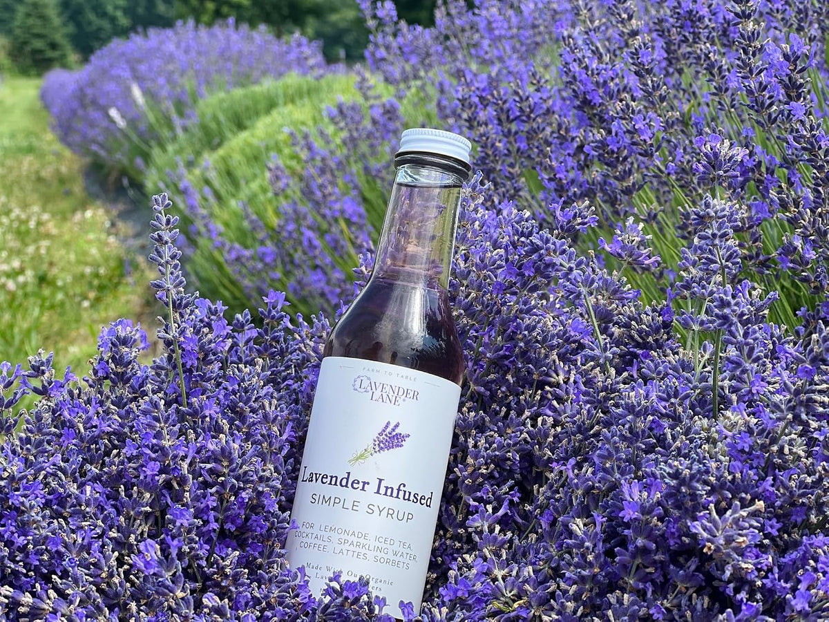 Lavender Lane Lavender Vanilla Simple Syrup, 9 oz - USA Farm Exraction, For Tea, Coffee, Cocktails, Mocktails, Cooking