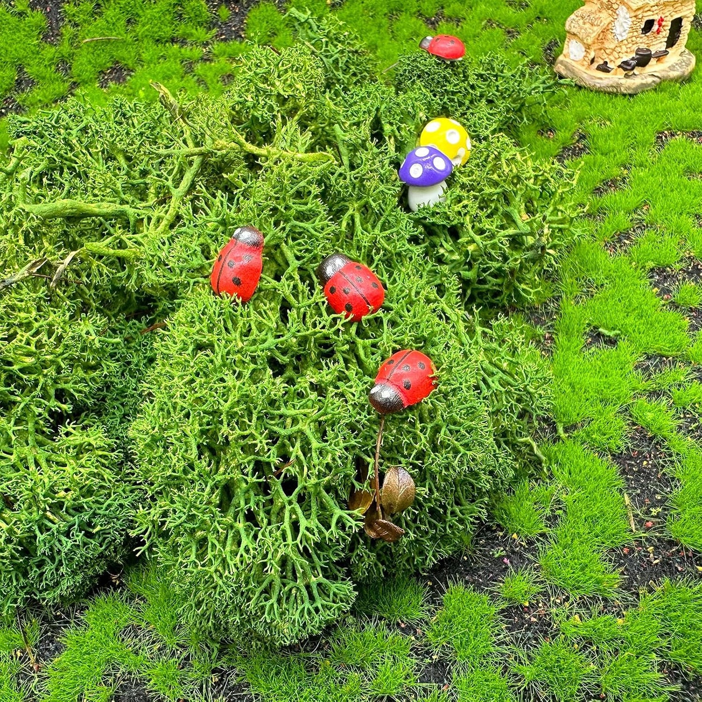Cayway 26 PCS Outdoor Fairy Garden Miniatures Mini Zen Garden Accessories, Artificial Grass, Model Trees, Terrarium Ornaments, Dollhouse Supplies, Bonsai Decorative Craft Tools Kit