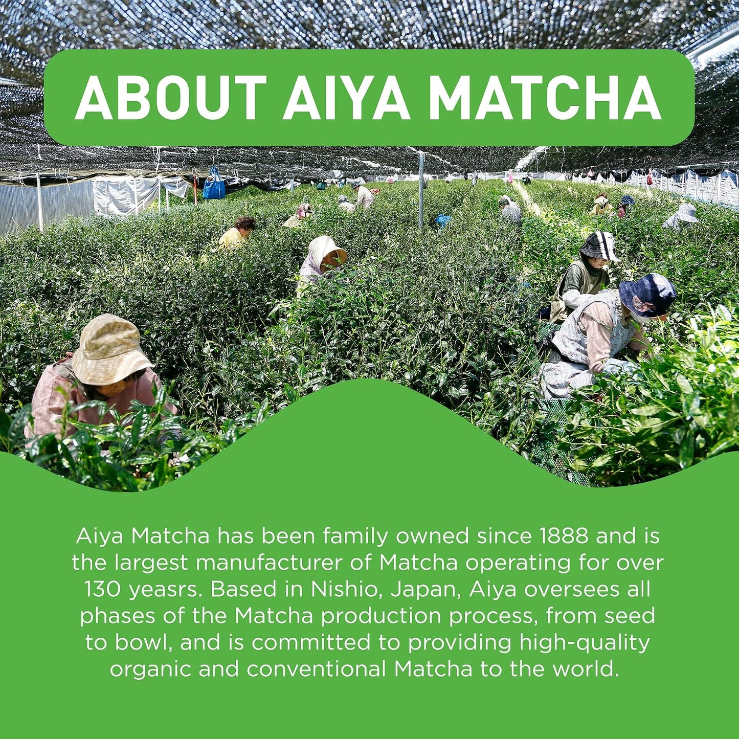 Aiya Japanese Sweetened Matcha Powder to Go Sticks - Ceremonial Grade, Vegan-Friendly, Gluten-Free - 8 Individually Packed Single-Serving Sticks for Freshness and Convenience