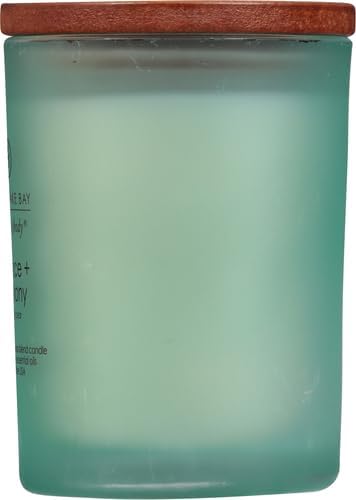 Chesapeake Bay Candle Scented Candle Serenity + Calm (Lavender Thyme) Coffee Table Home Décor