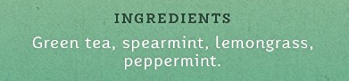 STASH Moroccan Mint Green Tea, 100 Bags Bulk Pack, Caffeinated