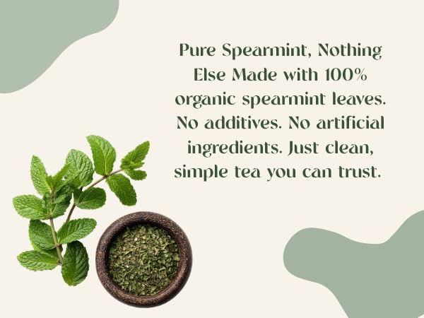 Organic Wellness Herbal tea 60 Servings Plant-Based Tea Bags – Caffeine Free with individual Wrap (Spearmint)