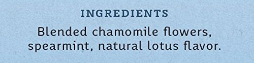 Stash Tea Chamomile Herbal Tea, 100 Count (packaging may vary) - Colors A