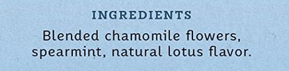 Stash Tea Chamomile Herbal Tea, 100 Count (packaging may vary) - Colors A
