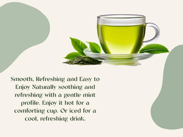 Organic Wellness Herbal tea 60 Servings Plant-Based Tea Bags – Caffeine Free with individual Wrap (Spearmint)