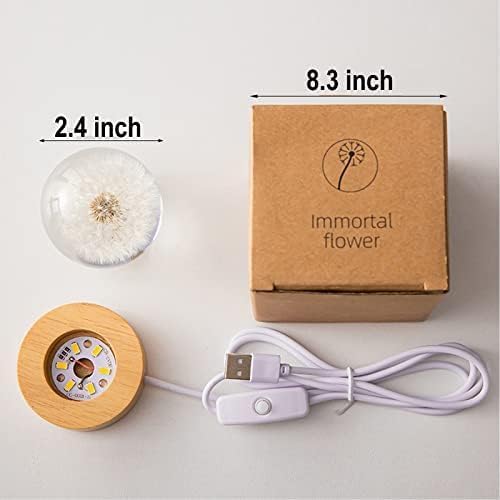Flower Crystal Ball Night Light,2.4 inch Glass Ball Night Lamp with Woodern Base (Dandelion)