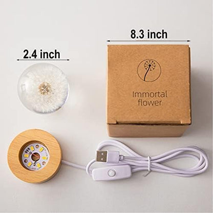 Flower Crystal Ball Night Light,2.4 inch Glass Ball Night Lamp with Woodern Base (Dandelion)