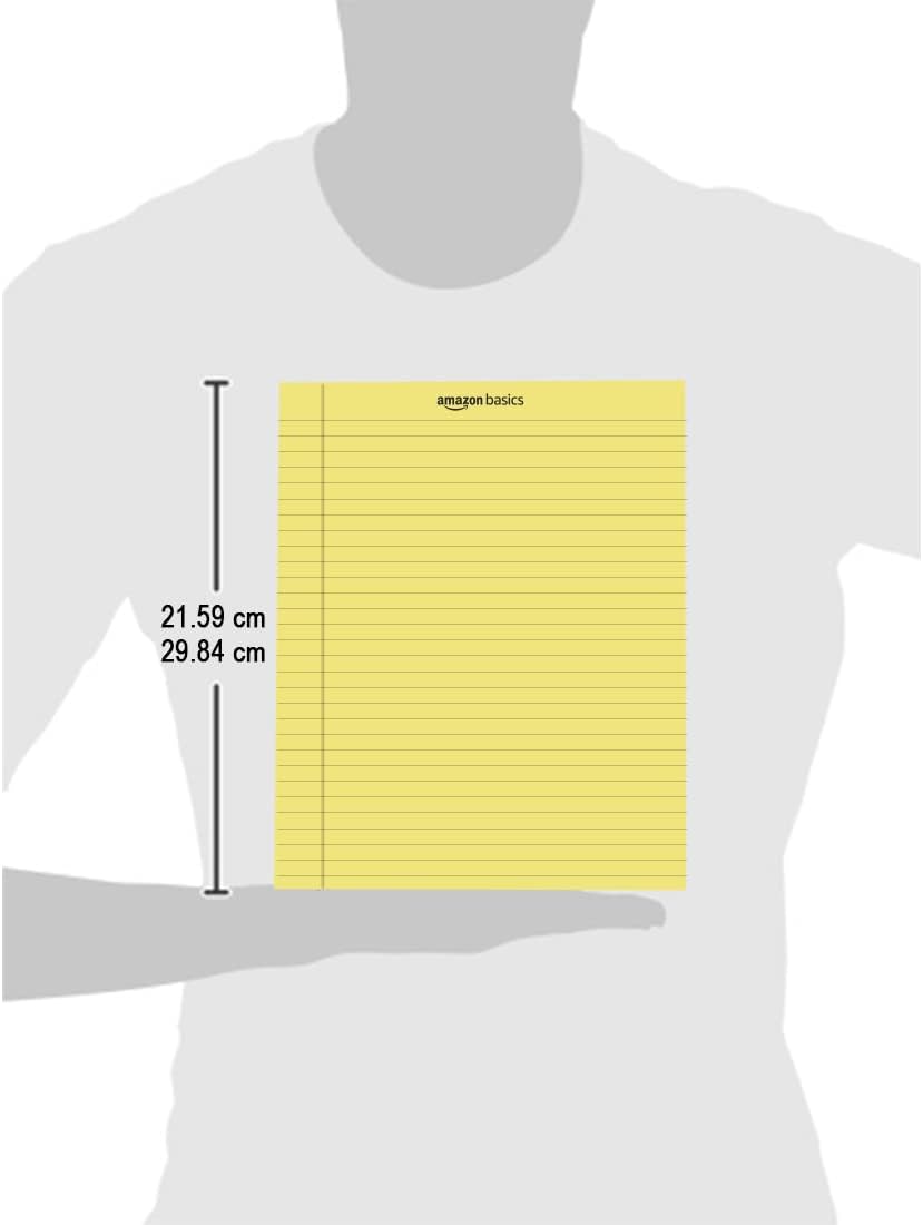 Amazon Basics Wide Ruled Lined Writing Note Pads for Office Supplies, 8.5" x 11.75", White, 12-Pack of 50 Perforated Sheets