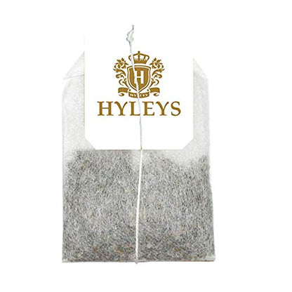 Hyleys Echinacea & Ginger Green Tea, 100% Natural, Vegan, 25 Tea Bags