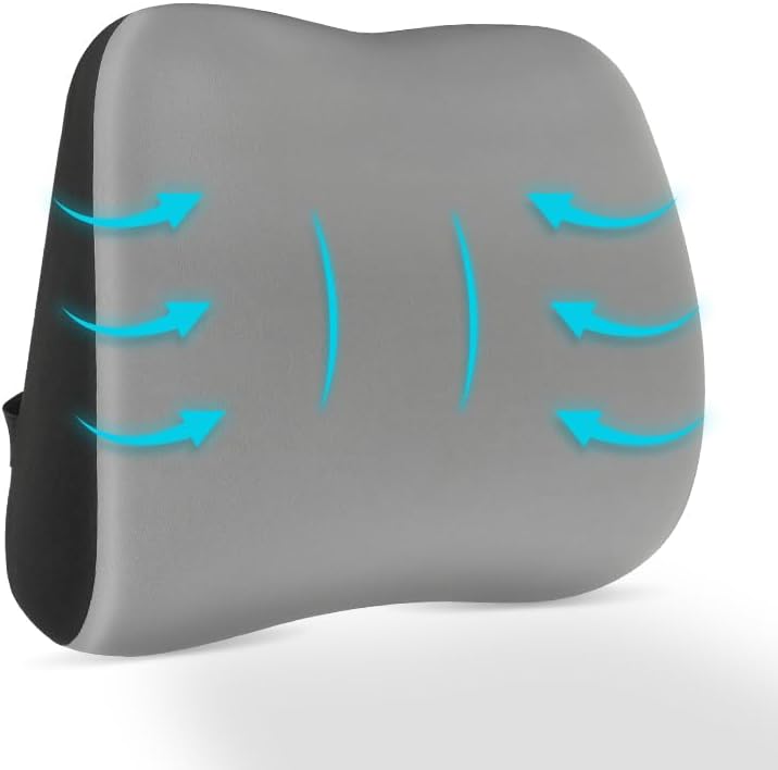Lumbar Support Pillow for Office Chair, Memory Foam Lumbar Pillow for Lower Back Pain Relief (Grey)