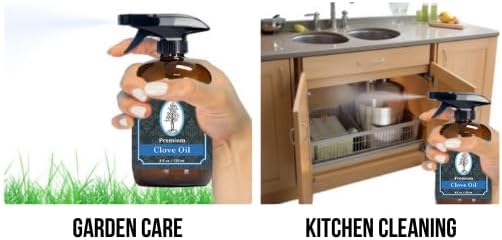 Essentially KateS Lavender Oil – 100% Pure & Natural, Steam-Distilled, with Glass Dropper, Roll-On Bottle & Sprayer for Aromatherapy, Skin & Home Use