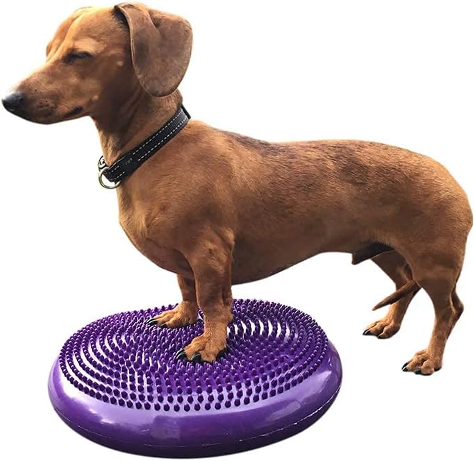 DEZAL Dog Balance Disc 14" - Canine Rehab and Fitness Equipment With Pump